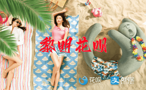 龙腾虎跃花呗